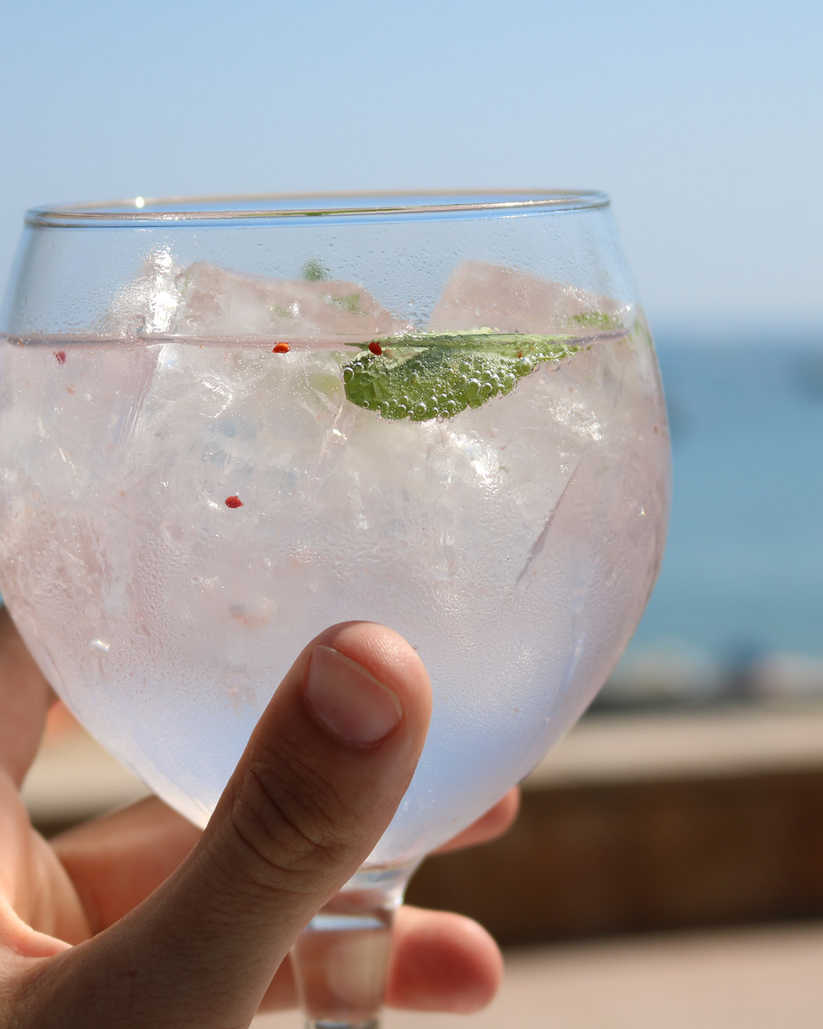 Gin tonic premium a la terrassa